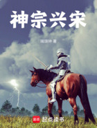 神宗兴宋在线阅读