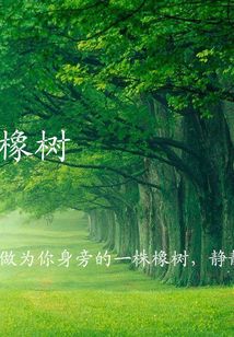 守望橡樹