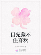 目光藏不住喜欢在线阅读