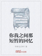 你我之间那短暂的回忆在线阅读