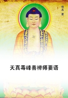 天真毒峰善禪師要語在線閱讀