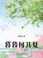 暮暮何其夏在线阅读