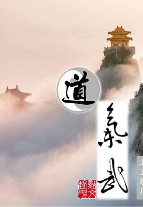 道气武在线阅读