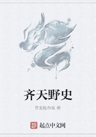齐天野史