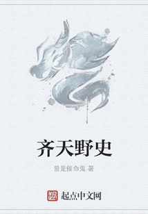 齊天野史