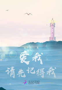 爱我请先记得我