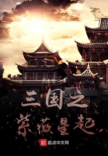 三國之紫薇星起