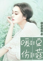暖伤豆蔻