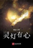 灵灯有心在线阅读