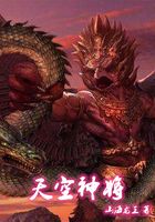 天空戰技之神將崛起在線閱讀