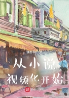 从小说视频化开始
