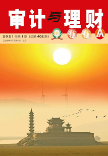審計與理財（2021年第1期）
