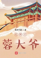 红楼之蓉大爷