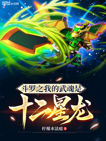 斗羅之我的武魂是十二星龍