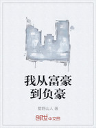 我从富豪到负豪在线阅读