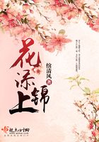 花添锦上在线阅读