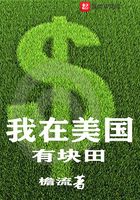 我在美國有塊田在線閱讀
