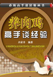 养肉鸡高手谈经验