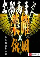 全职高手之荣耀依旧在线阅读