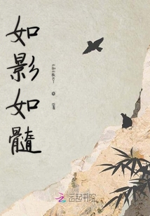 如影如髓