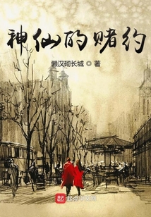 神仙的赌约