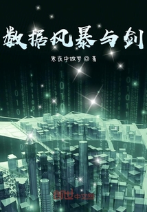 數據風暴與劍