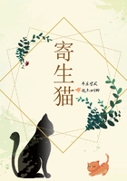 寄生貓在線閱讀