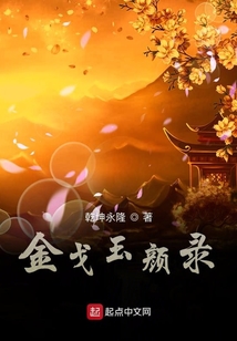 金戈玉顏錄
