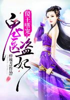 傻王嗜宠:鬼医盗妃在线阅读