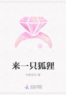 來一只狐貍