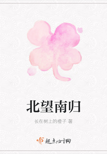 北望南歸