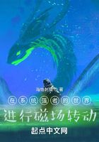 在系统强者的世界进行磁场转动在线阅读