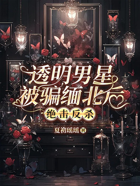 透明男星被骗缅北后，绝击反杀在线阅读