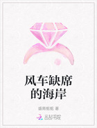 风车缺席的海岸在线阅读