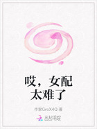 哎,女配太难了在线阅读