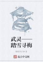 武靈——踏雪尋梅在線閱讀