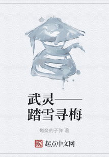 武靈——踏雪尋梅