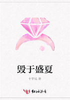 毀于盛夏在線閱讀