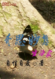 奇思妙想生活家