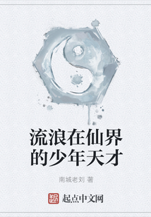 流浪在仙界的少年天才