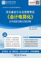 河北省会计从业资格考试《会计电算化》历年真题与模拟试题详解