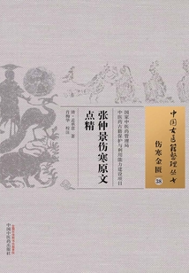 張仲景傷寒原文點精