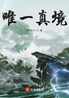 唯一真境在線閱讀