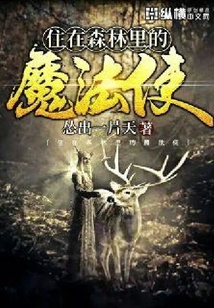 住在森林里的魔法使