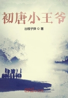 初唐小王爺在線閱讀