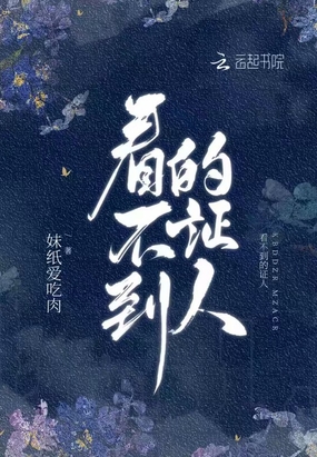 看不到的证人在线阅读