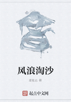 风浪淘沙