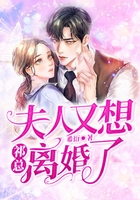 祁总,夫人又想离婚了