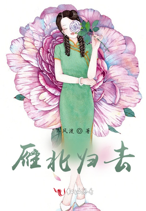 雁北归去在线阅读