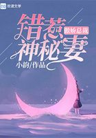傲娇总裁:错惹神秘妻